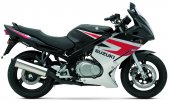 2005 Suzuki GS 500 F photo